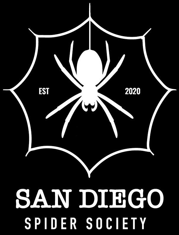 San Diego Spider Society Logo